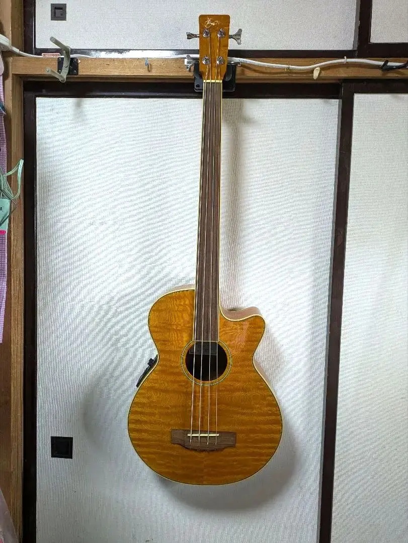 2026年最新】Zenn アコースティックギターの人気アイテム - メルカリ