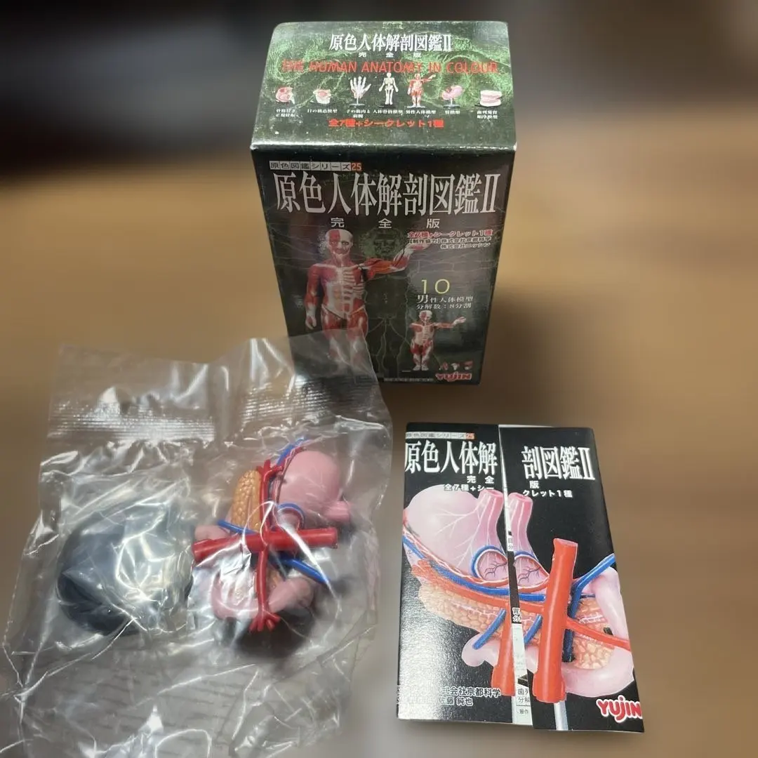 2026年最新】人体解剖図鑑 ユージンの人気アイテム - メルカリ
