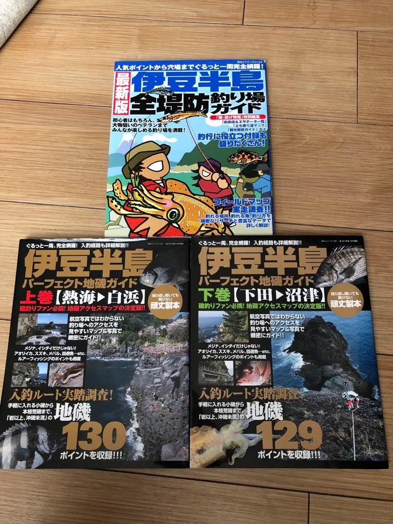 2026年最新】伊豆半島パーフェクト地磯ガイドの人気アイテム - メルカリ