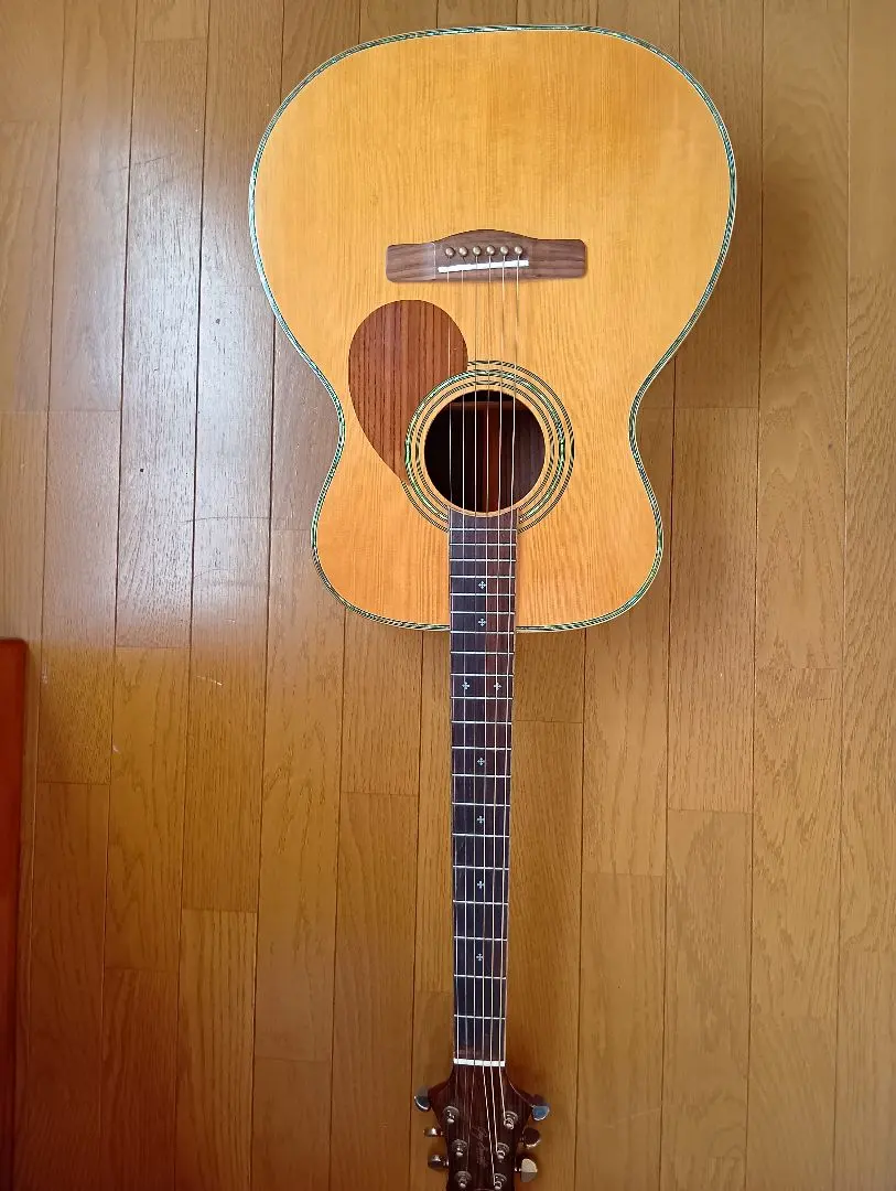 2026年最新】greg bennett ギターの人気アイテム - メルカリ