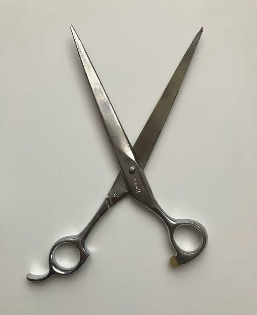 2026年最新】東光舎の人気アイテム - メルカリ