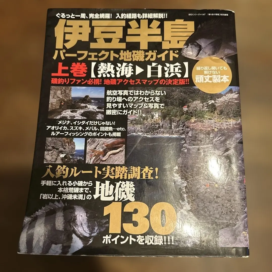 2026年最新】伊豆半島パーフェクト地磯ガイドの人気アイテム - メルカリ