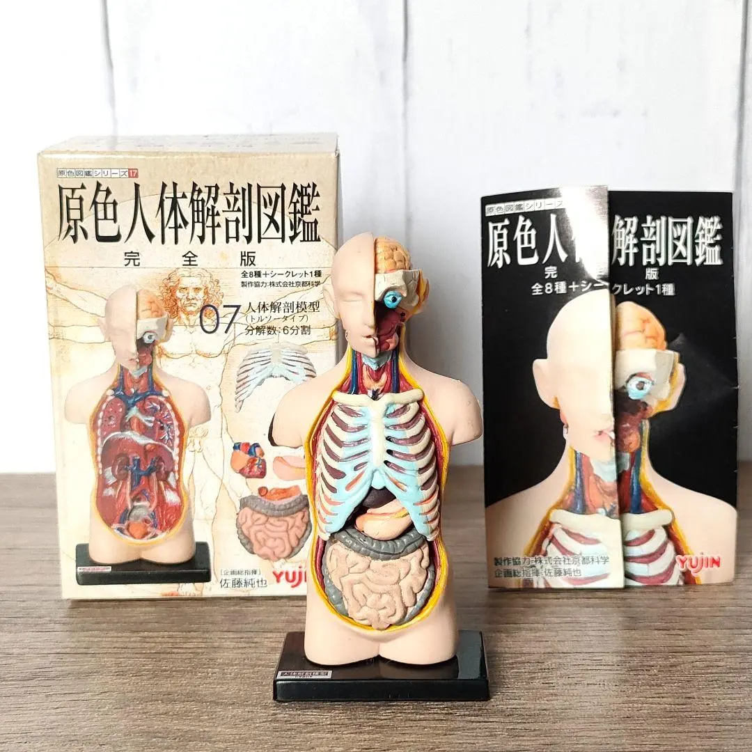 2026年最新】人体解剖図鑑 ユージンの人気アイテム - メルカリ