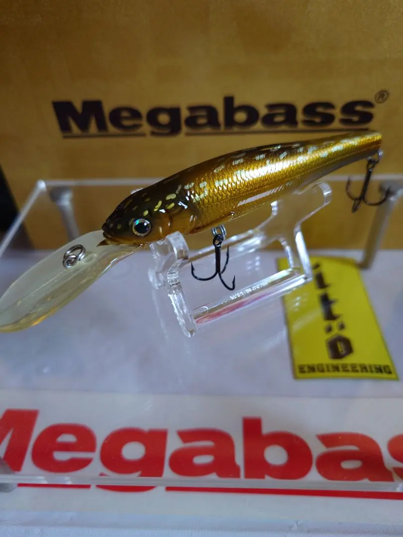 2026年最新】剥製 イトウの人気アイテム - メルカリ