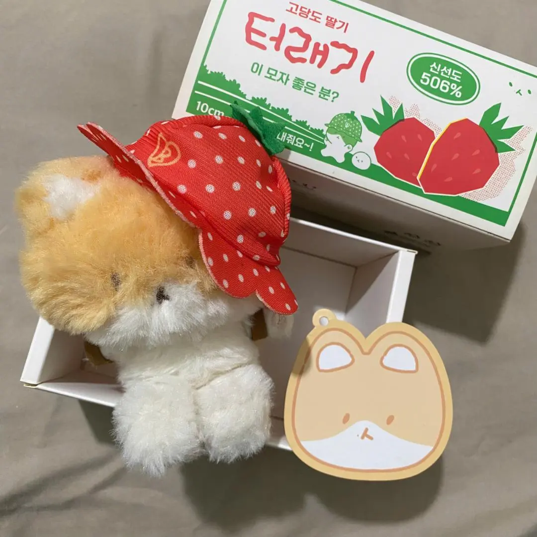 2026年最新】ベッキョン トレギ いちごの人気アイテム - メルカリ