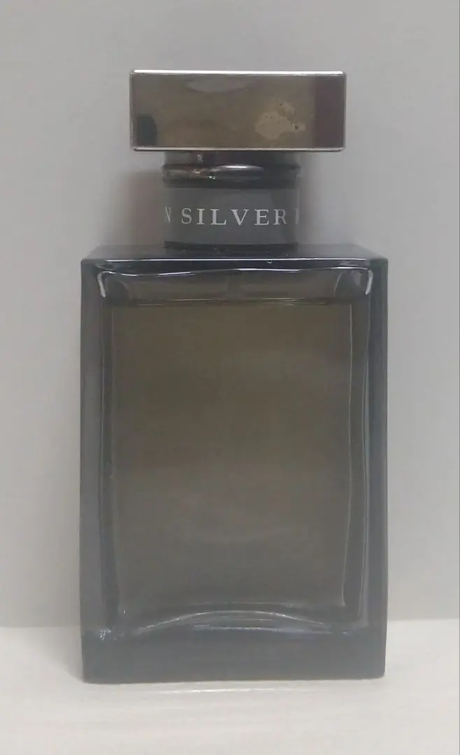 2026年最新】ラルフローレン ロマンス シルバーの人気アイテム - メルカリ