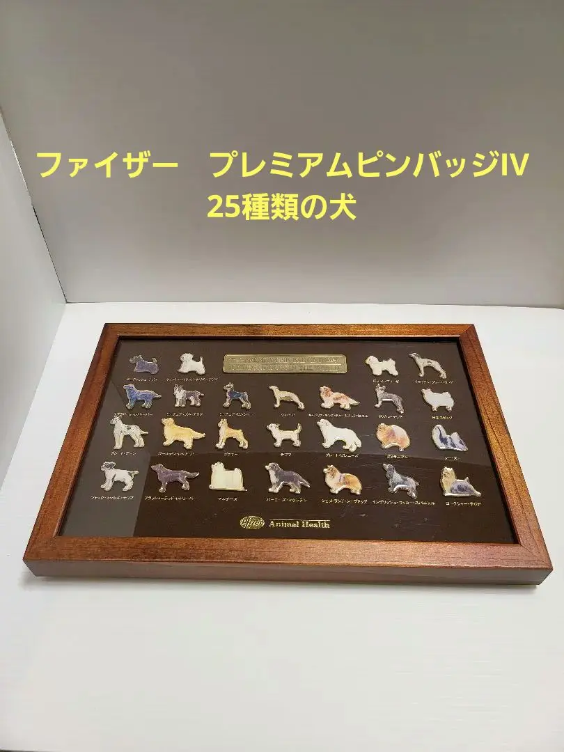 2026年最新】ファイザー ピンバッチの人気アイテム - メルカリ