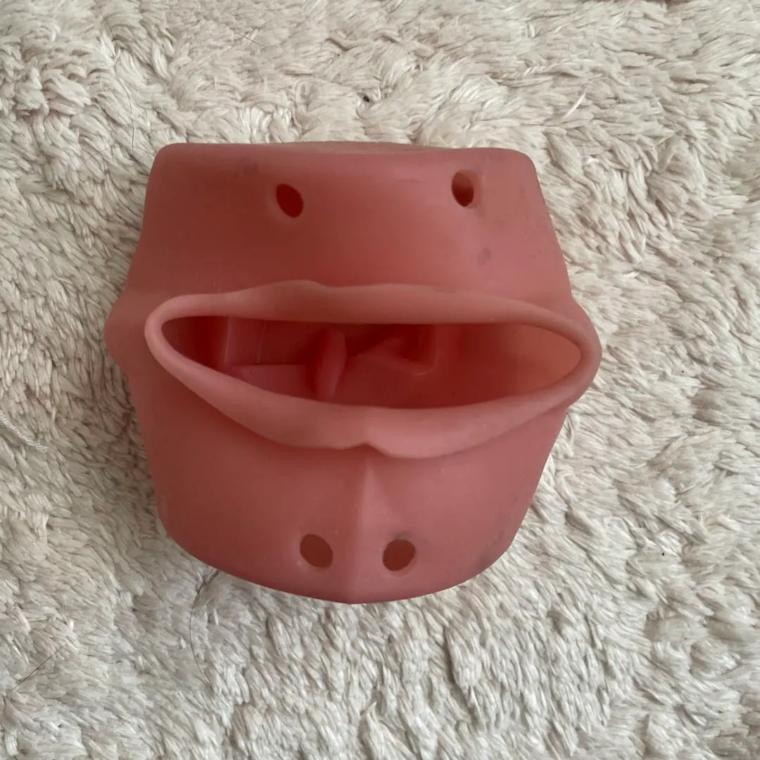 2026年最新】頬粘膜フルカバーの人気アイテム - メルカリ