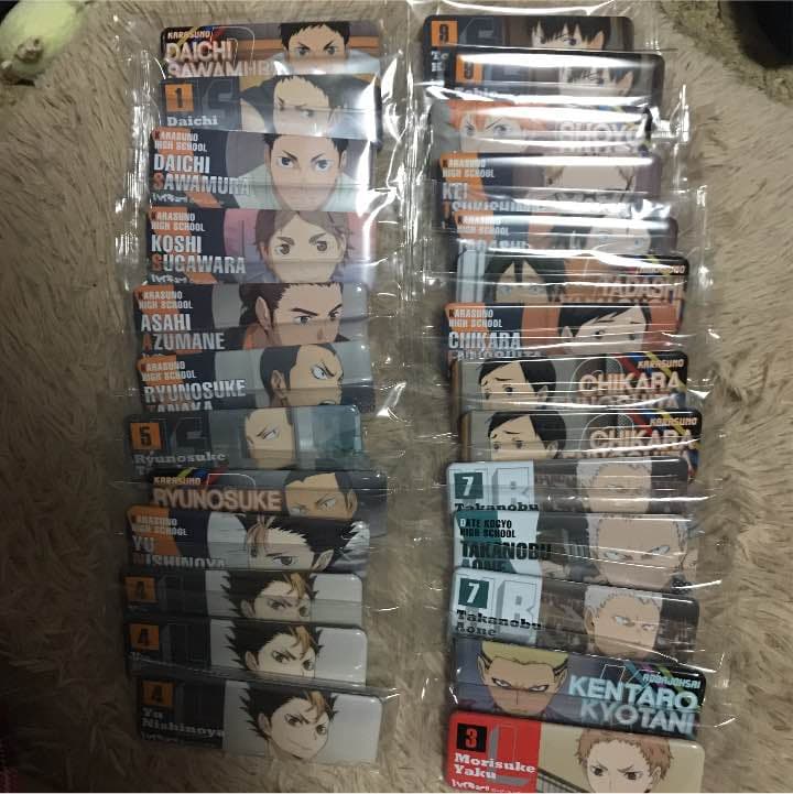 ハイキュー!! ハイキュー!!」 日向翔陽 | CATALOG | nanoblock® | ブランド一覧