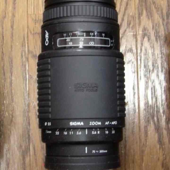 レンズ(単焦点) SIGMA AF APO 70-300mm Amazon.com : Sigma 70-300mm f/4-5.6 APO Macro Super Lens for Nikon