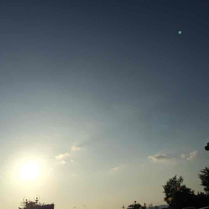 Apple正規品イヤホン！ EarPods（USB-C） - Apple（日本）