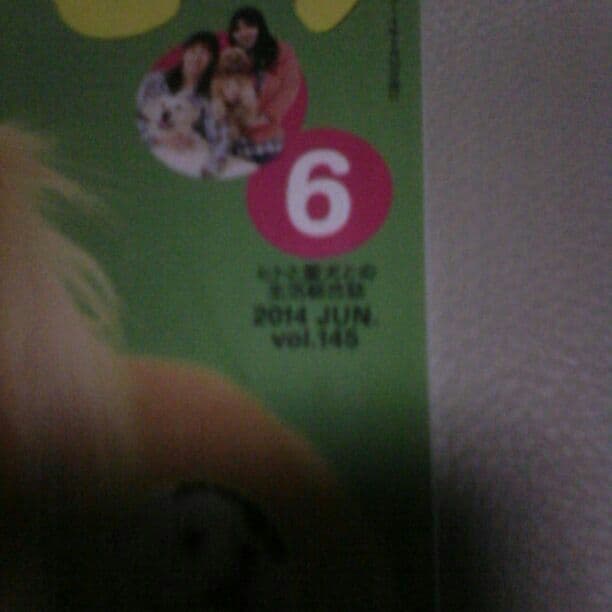 いぬのきもち　2014年6月号vol.145