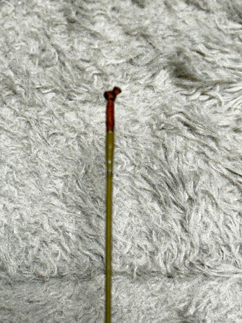 シマノ SHIMANO 飛天弓 わびすけ 11尺 ヘラ竿 - メルカリ