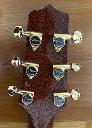 初心者も エレキ奏者も弾きやすい薄胴エレアコ タカミネTSP138C TB