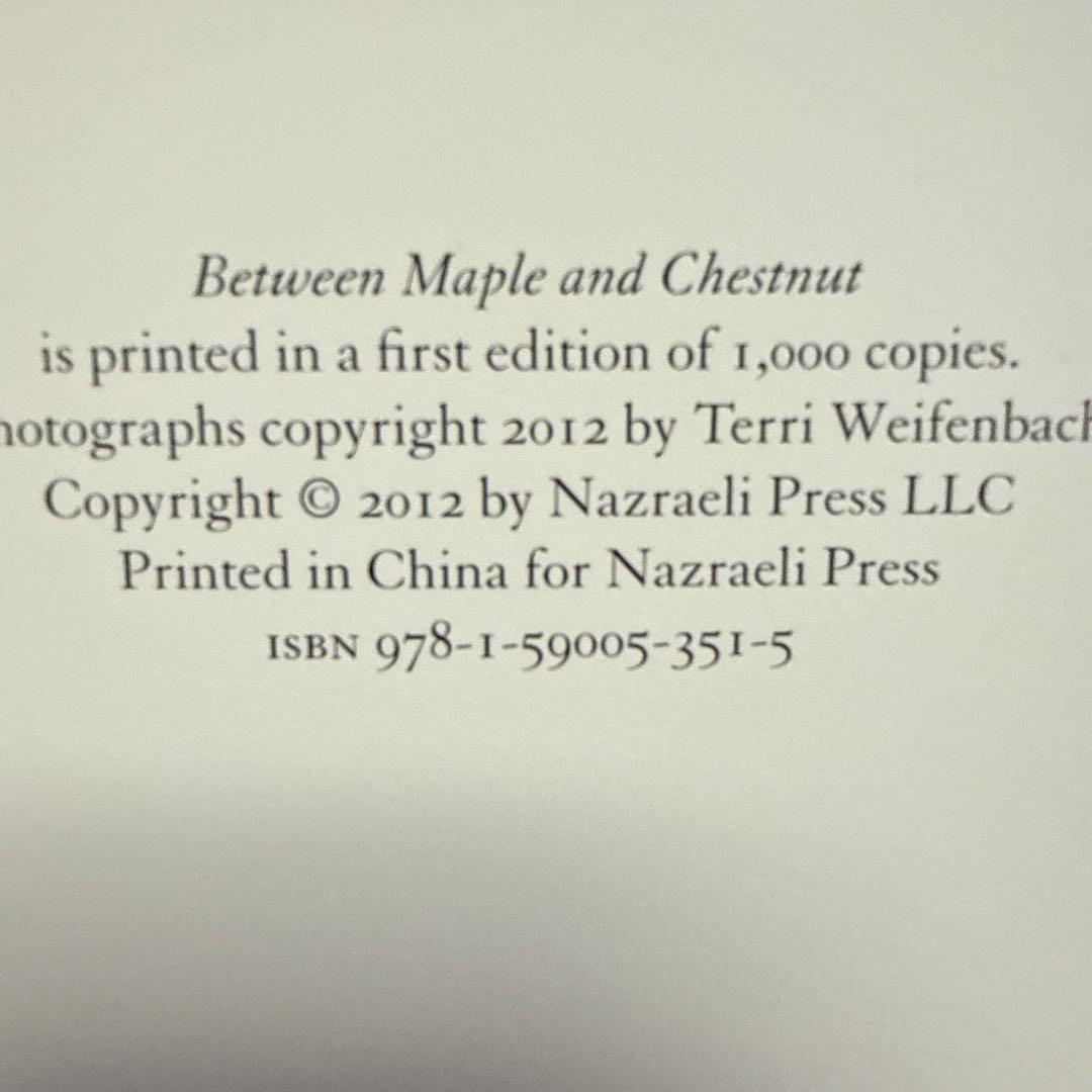 Terri Weifenbach 写真集