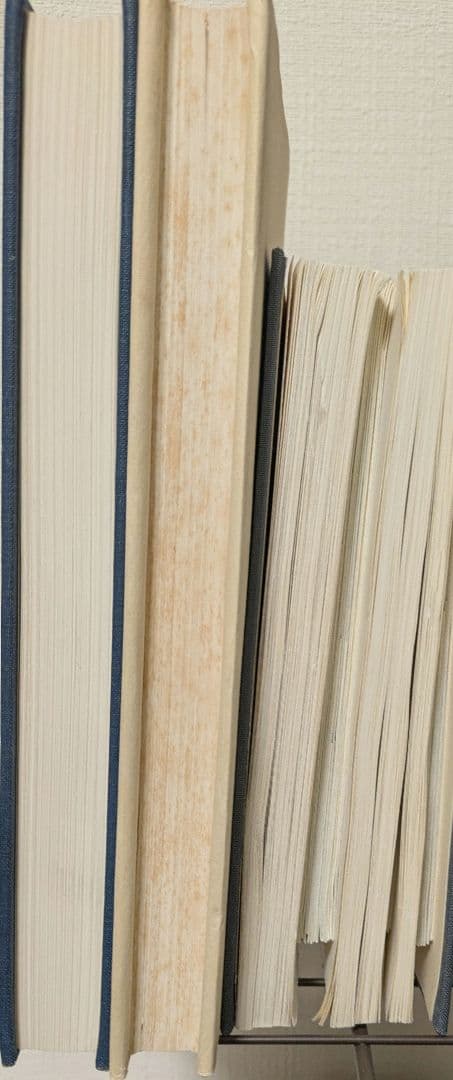 ラテン語古書体学・中世叙事詩・語彙論 稀少学術書3冊セット - メルカリ