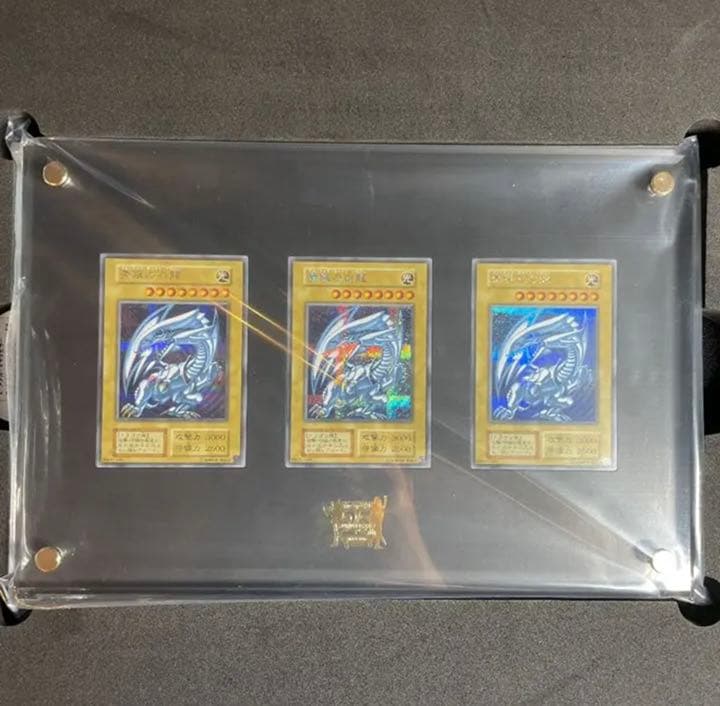 遊戯王 海馬セット 青眼の白龍 シークレット 3枚セット 25th