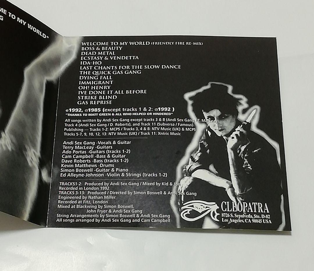 CD ( アンディ セックス ギャング )2枚