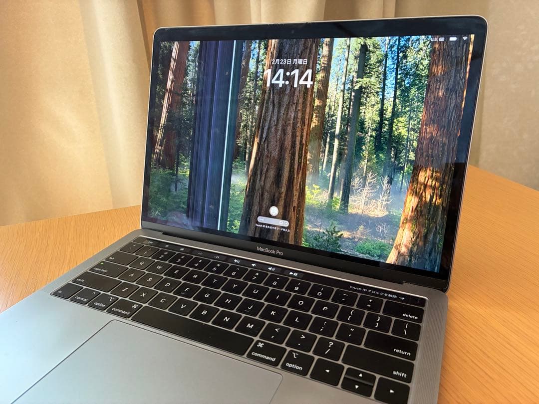 ジャンク】MacBook Pro シルバー 本体と充電器 - メルカリ