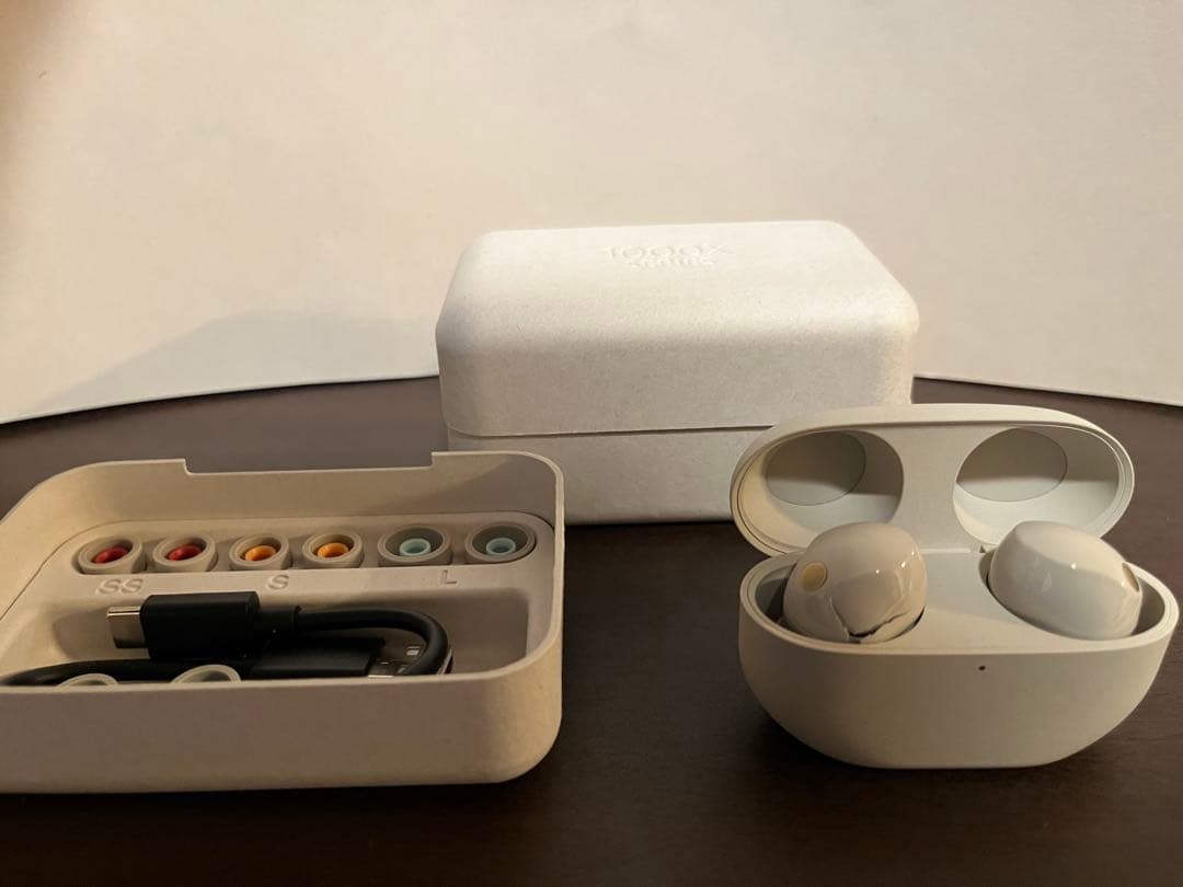 WF-1000XM5 プラチナシルバー 左側ジャンク - メルカリ