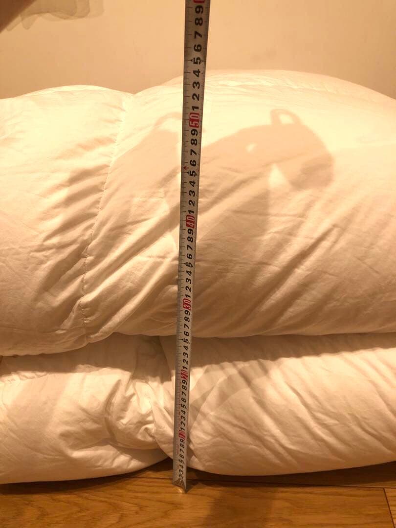 東京西川　高島屋　オシュロハーザ　マザーグースダウン　95% ダブル　1.7k