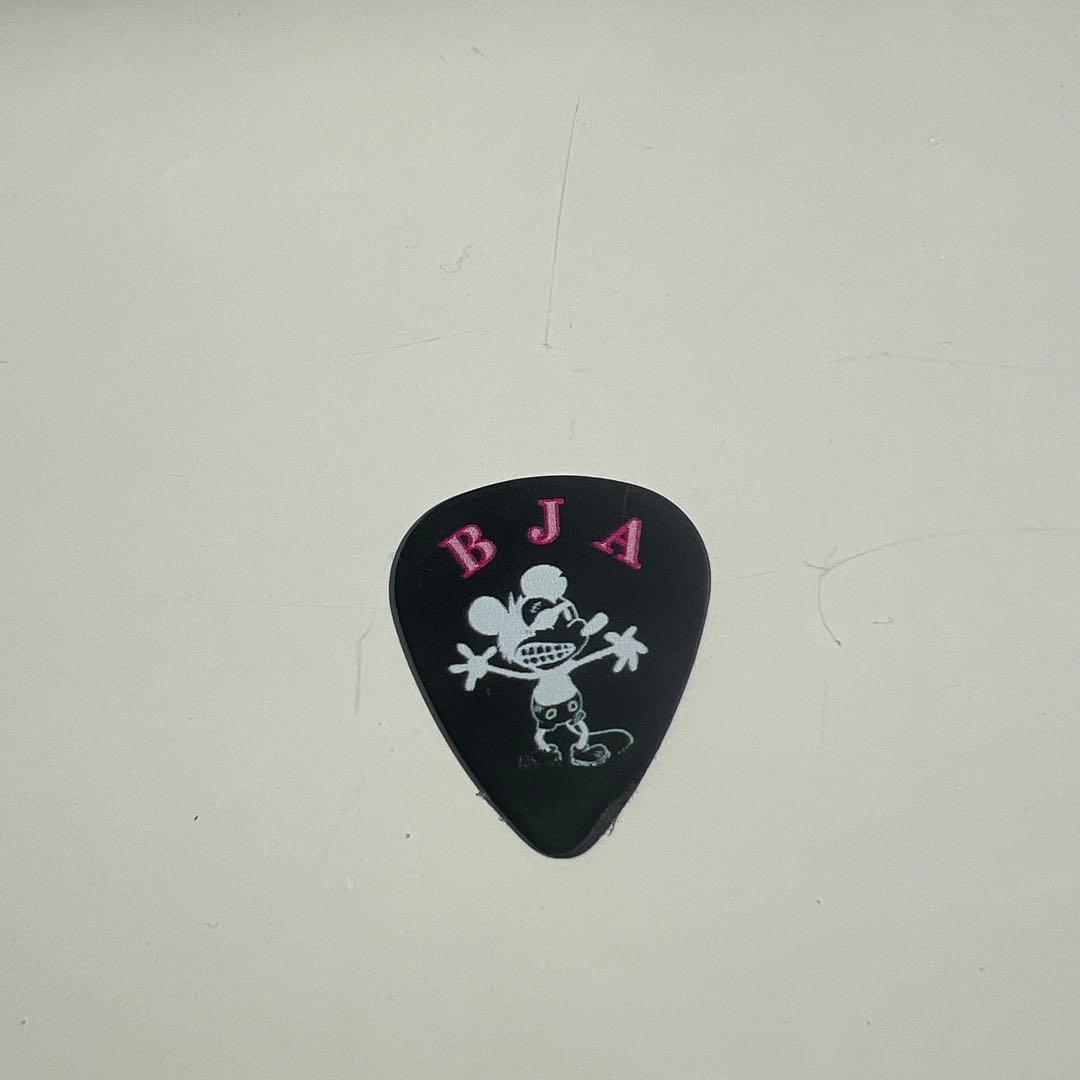 Green Day グリーンデイ ギターピック ビリージョーアームストロング