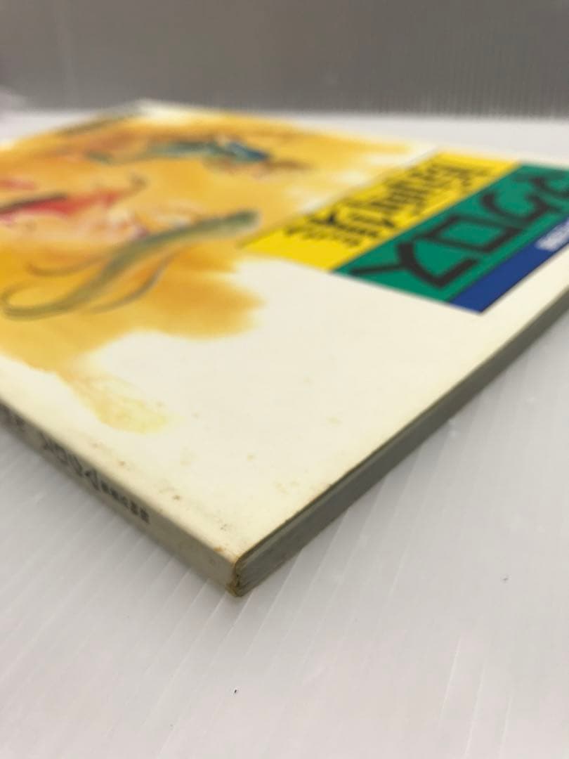 初版 ビッグウェスト 超時空要塞マクロス 原画集 美樹本晴彦 - メルカリ