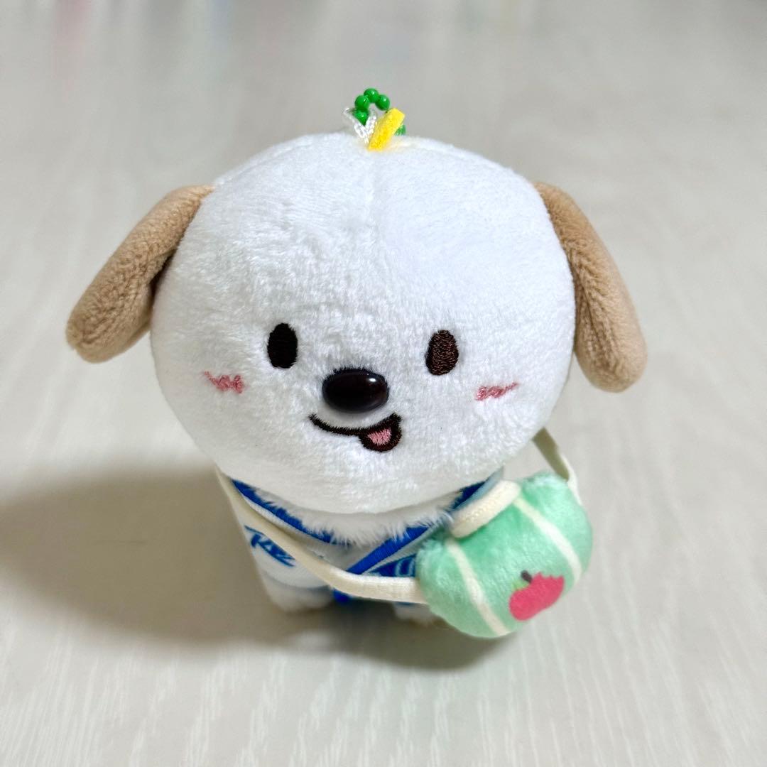 RIIZE アントン LITTLE RIIZE KEY RING モンリョンイ - メルカリ