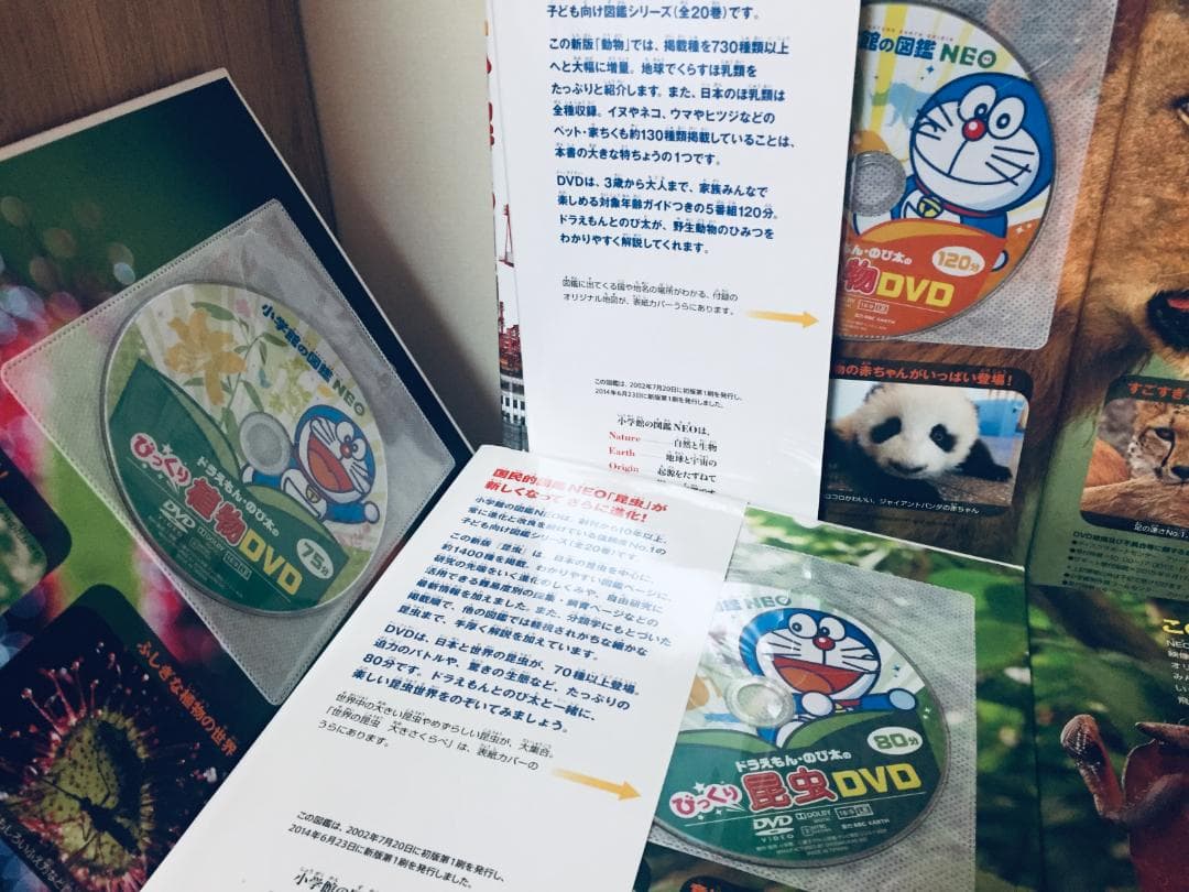 小学館の図鑑NEO 新版 DVD付き 14冊セット