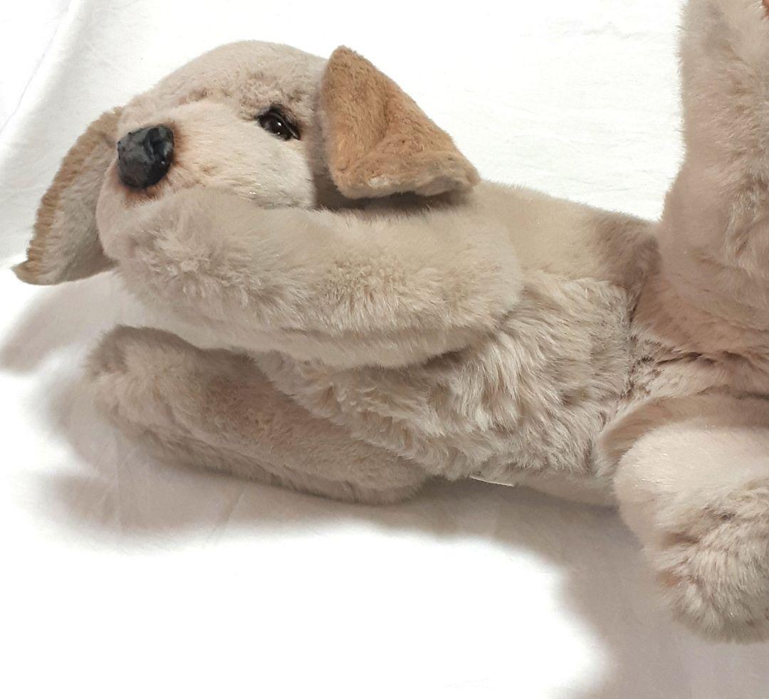 美品】ジョックライン JOCKLINE社 当時物 イタリア製 犬 ゴールデン