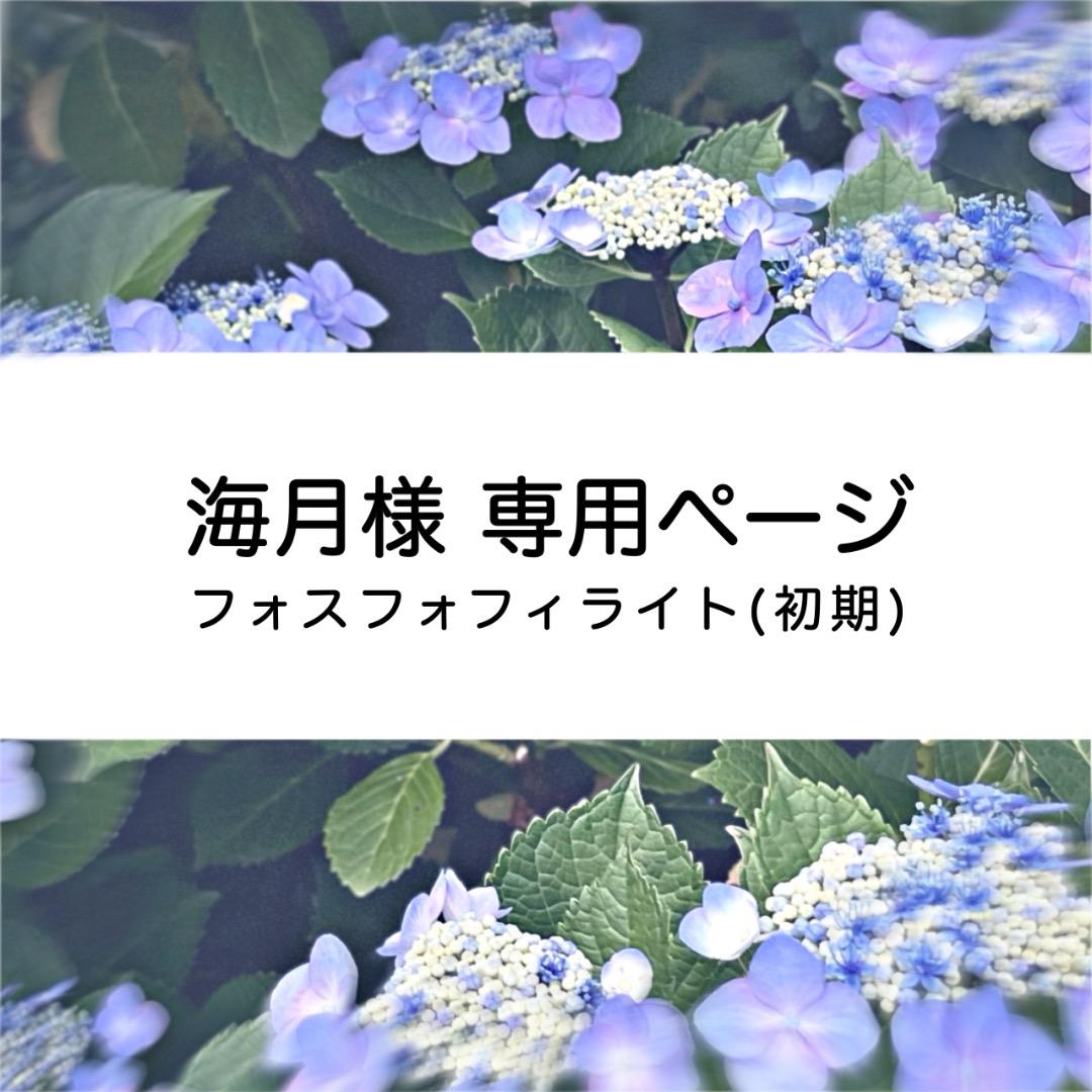 海月様 ウィッグオーダー お見積もりページ