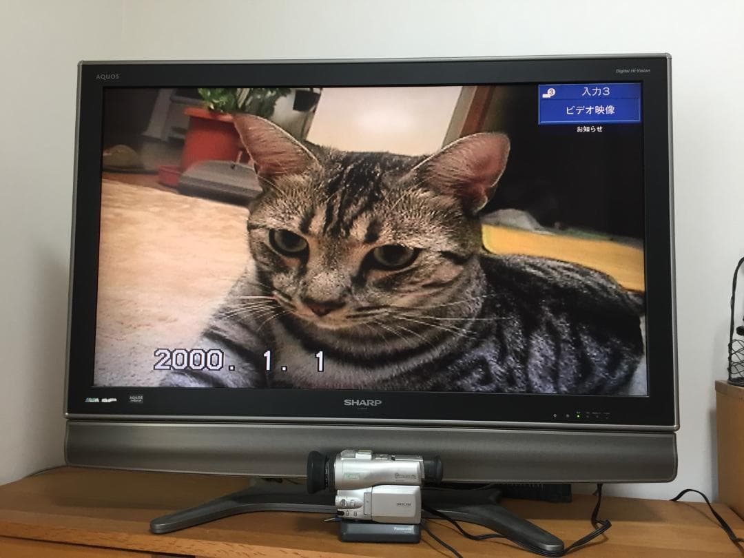 撮影再生ダビングOK Panasonic NV-DJ100 MiniDV用 - メルカリ