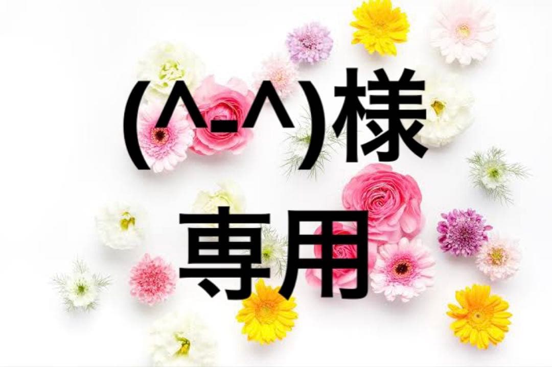 (^-^)様 JR キハ47-8000形ディーゼルカー（九州色・冷房強化車）セット｜製品