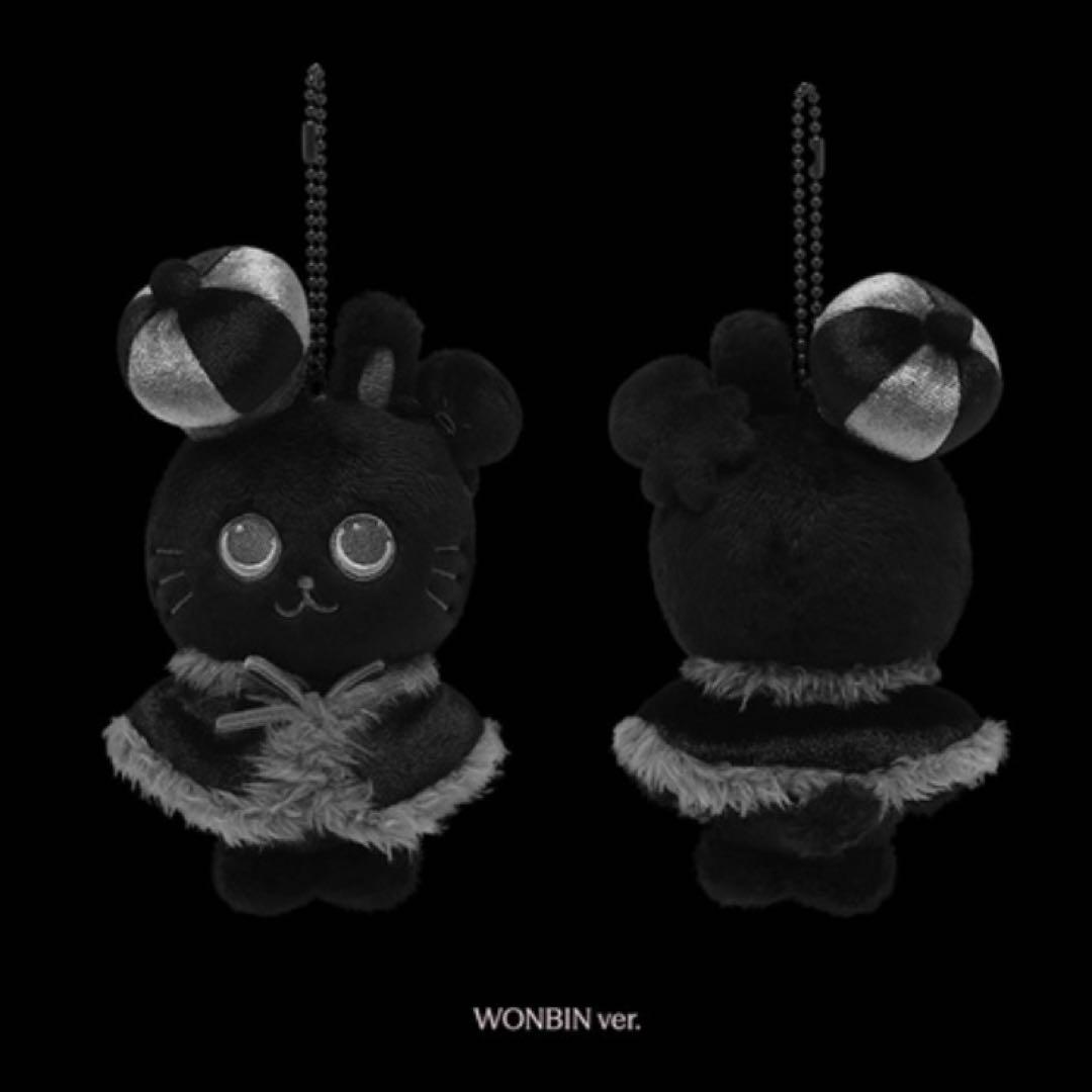 RIIZE ウォンビン Fame 10cm ドール キーリング トニャンドク - メルカリ