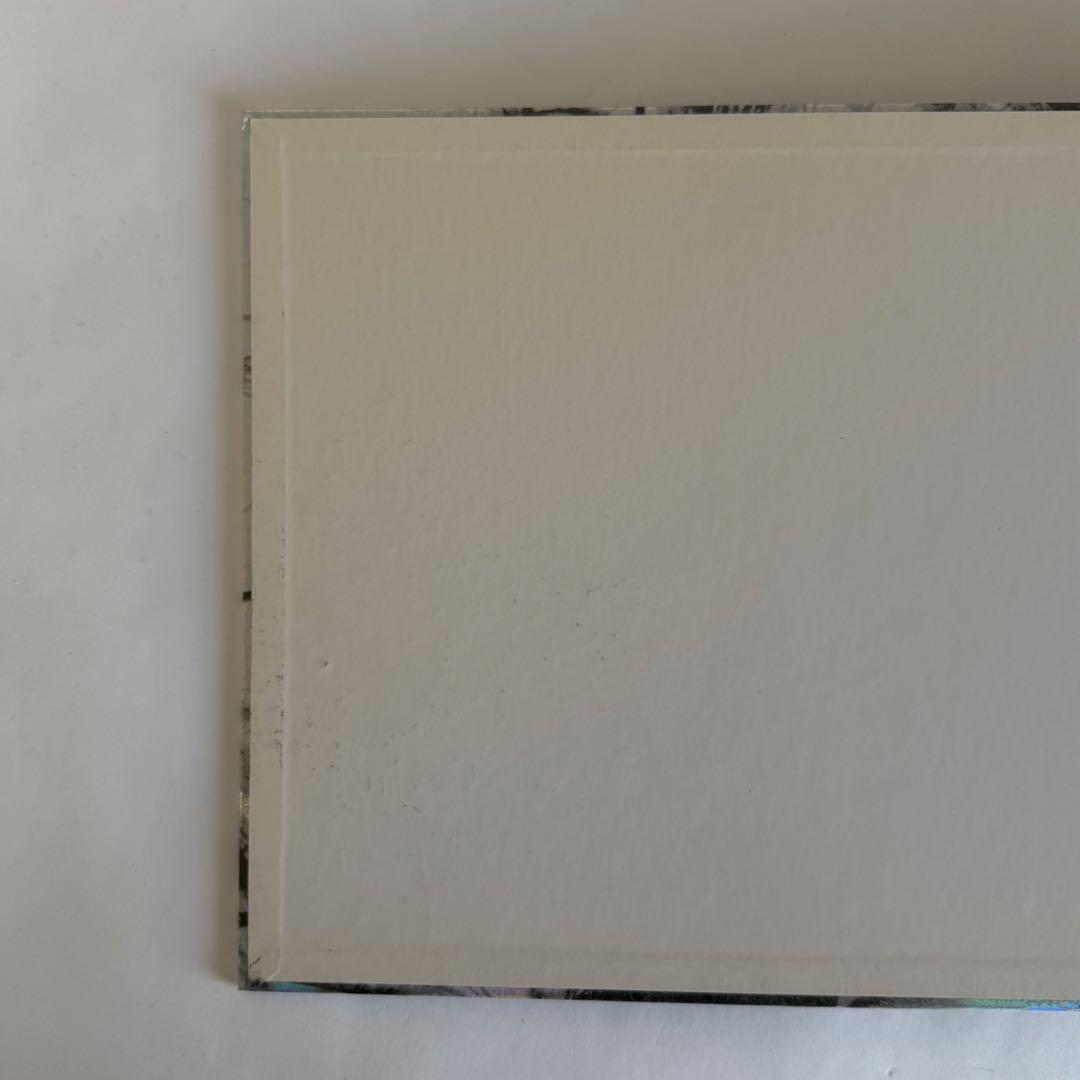 【希少】Visionaire 10周年記念本 マルジェラ ギャルソン掲載 写真集