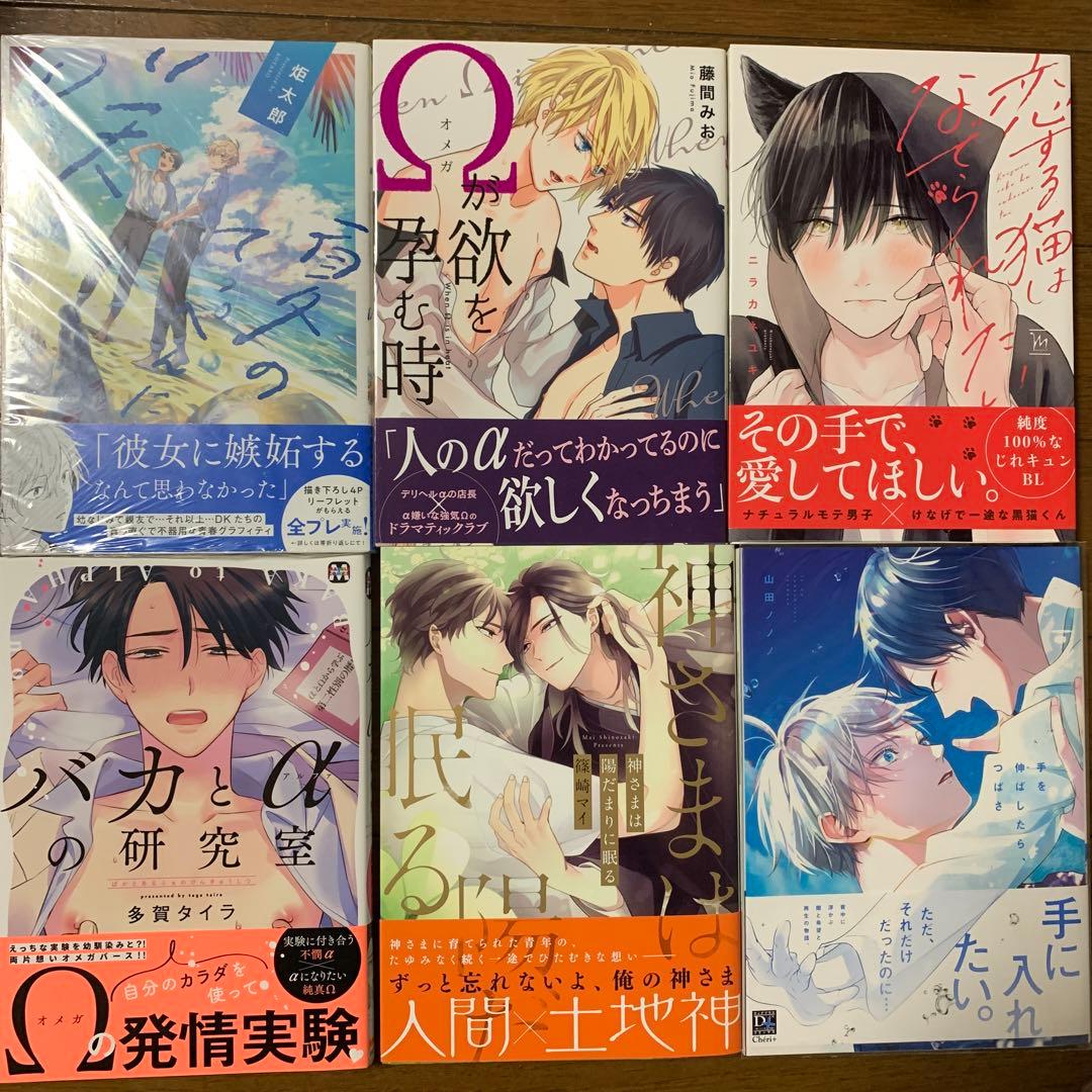 商業BL 51冊セット まとめ売り - メルカリ