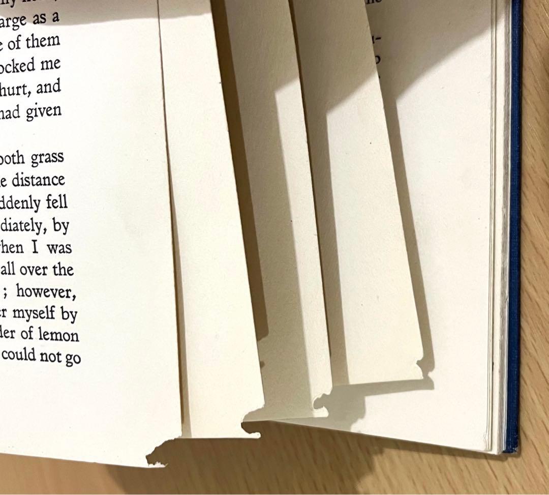 No174 貴重 アンティーク洋書 古書 アーサー·ラッカム ガリバー旅行記