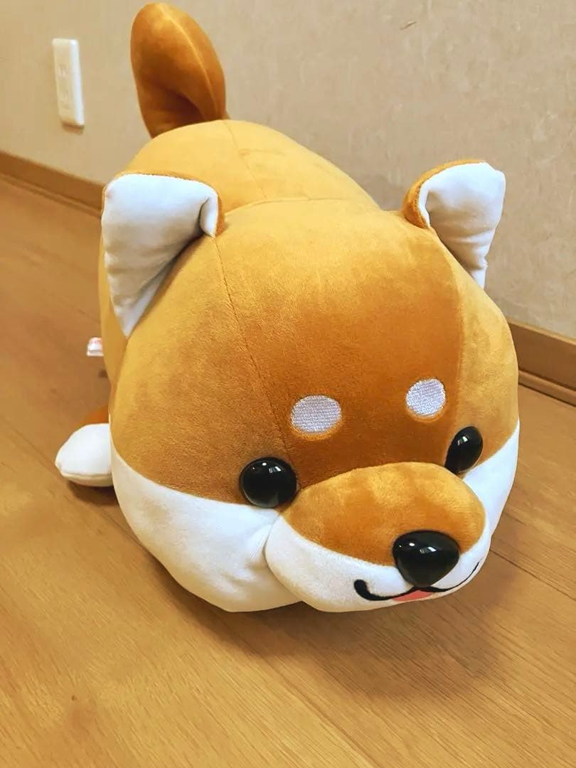 ハッピーまめしば 白柴ぬいぐるみ 2等 ハッピーズー ハッピーまめしば