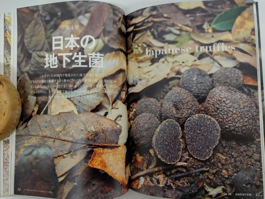 日本のトリュフ。地下で進化したキノコの仲間たち 地下生菌 識別図鑑