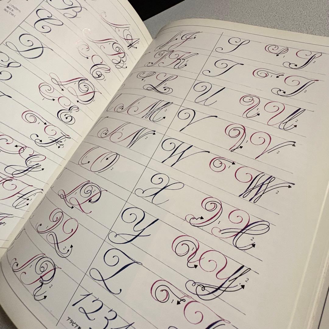 もっと知りたいカリグラフィー : 絵と写真で見る歴史と技法 デイビッド