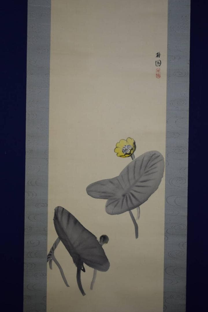 真作/庭山耕園/河骨図/コウホネ図/桐題箱付/布袋屋掛軸