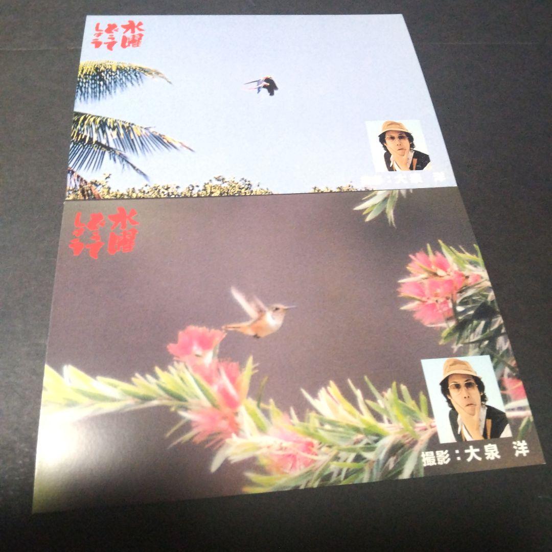 大泉洋 水曜どうでしょう コスタリカポストカード - メルカリ