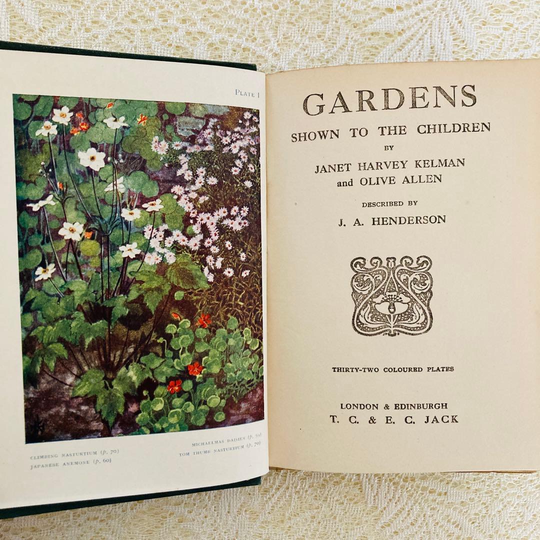 洋書 古書 希少 イギリスのアンティーク植物図鑑 色鮮やかで美しい