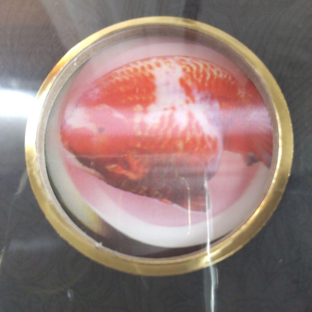 未開封新品】シュリンク有 中国金魚図鑑・専門書 - メルカリ