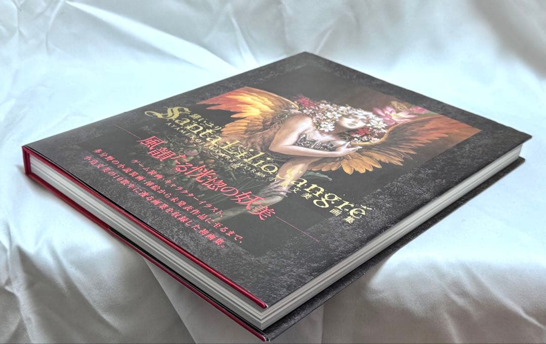 [美品] 小島文美 画集 -Santa Lilio Sangre- 緋いユリ