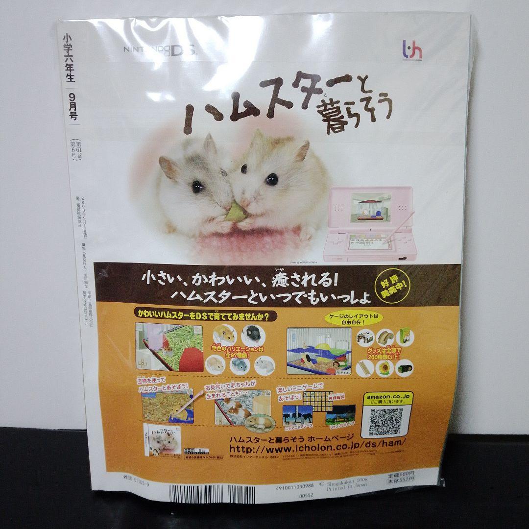 超絶入手困難　未開封　小六　2008年8月号