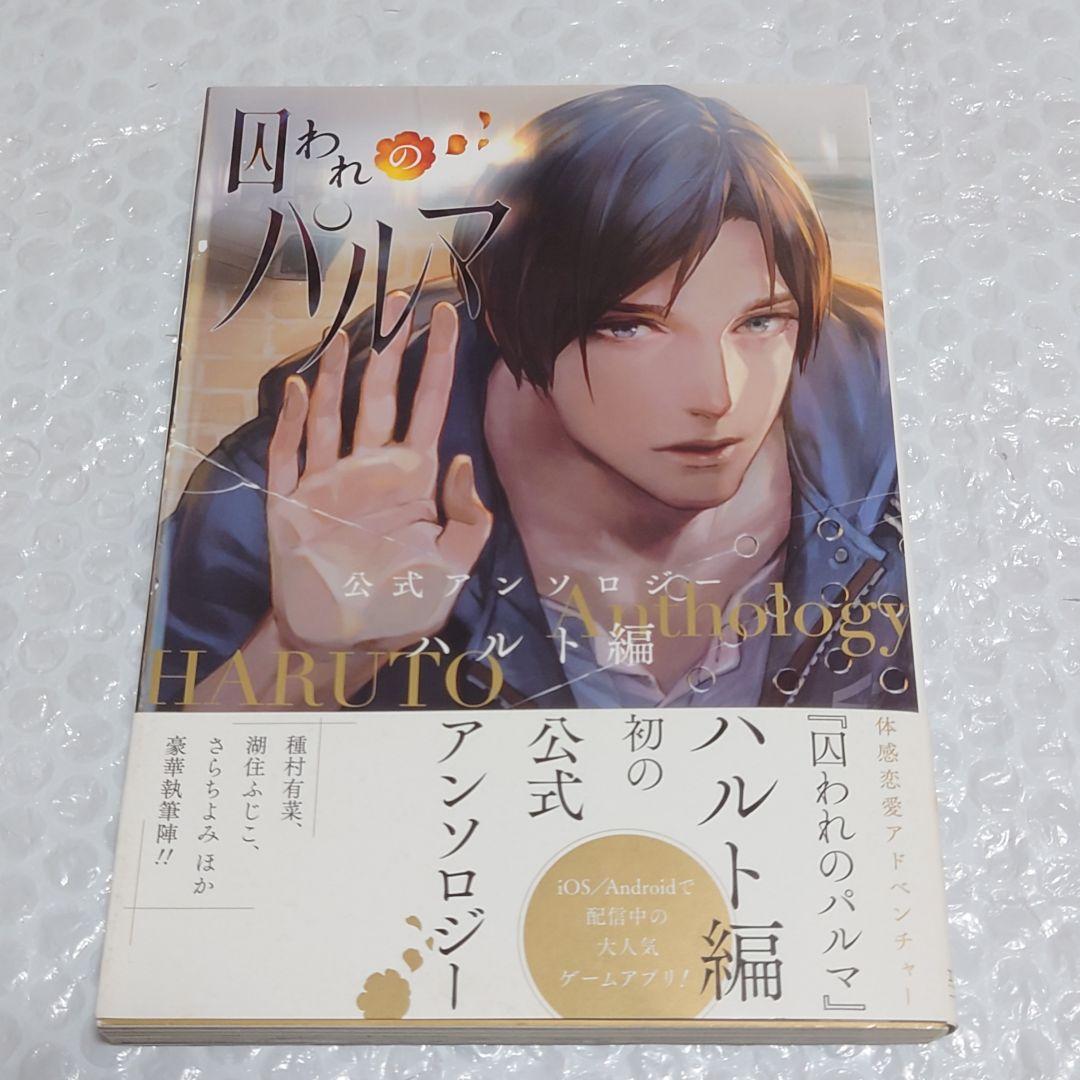 【帯付 初版】 囚われのパルマ 公式アンソロジー ハルト アオイ ノベル 希少