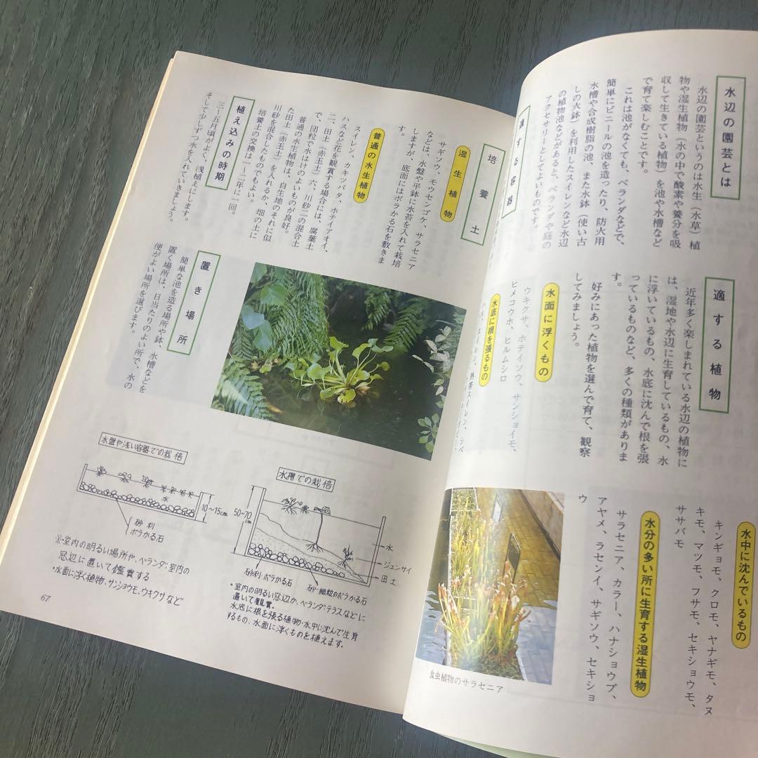 鹿児島の室内園芸 新しい園芸の楽しみ方 (鹿児島の園芸百科シリーズ