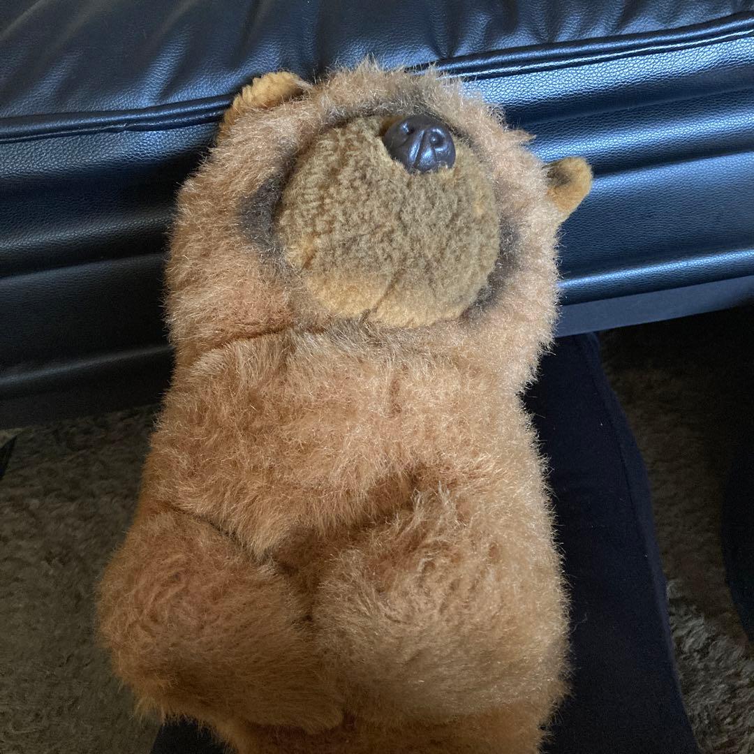 ぬいぐるみの三英 昭和 レトロ チャウチャウ犬 美品 - メルカリ