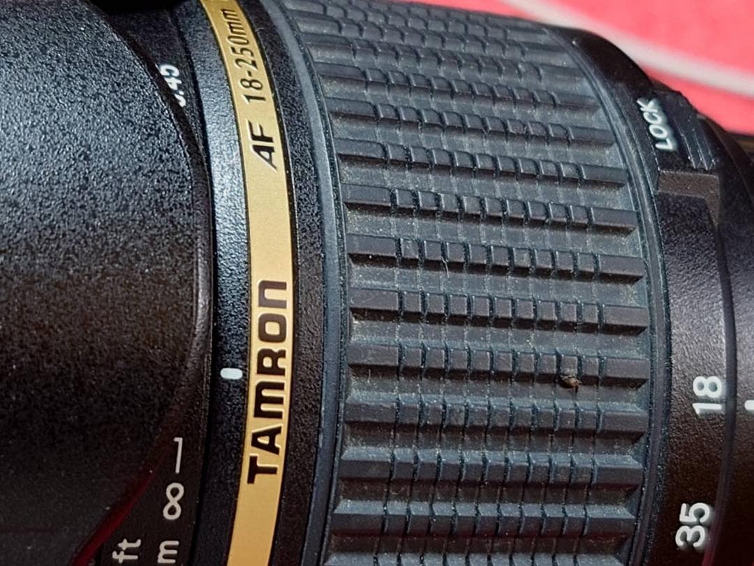 タムロン AF18-250mm F/3.5-6.3 Di IIニコン用 A18N